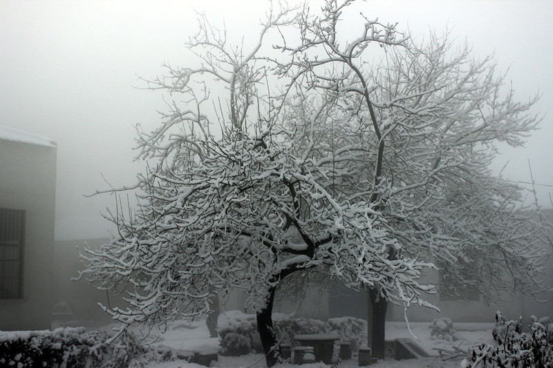德科廠區雪景